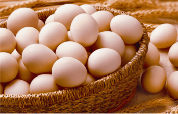 EGGS AND POULTRY
