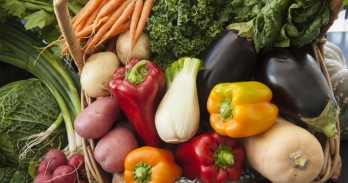 EXOTIC VEGETABLES